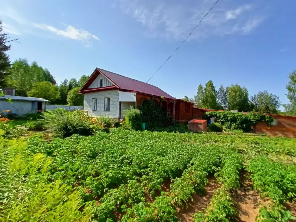 Маркс березовка. Маркс березовка