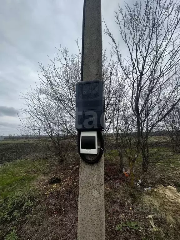 Участок в Воронежская область, Борисоглебский городской округ, с. ... - Фото 1