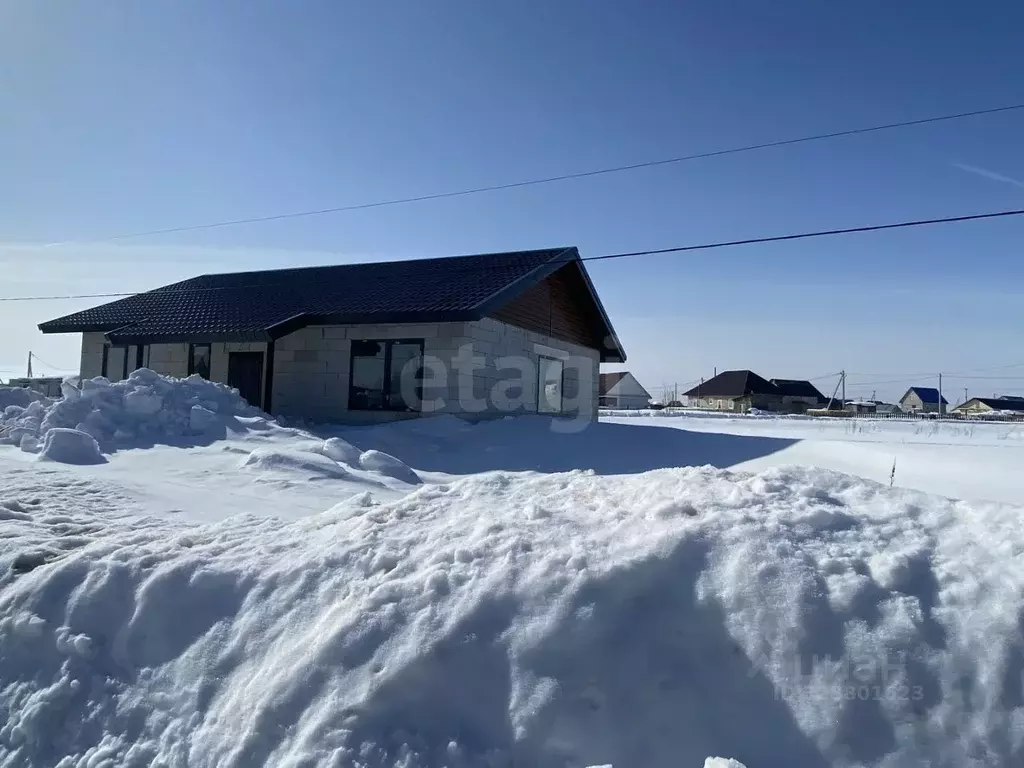 Дом в Пермский край, Чернушка ул. Есенина (90 м) - Фото 1