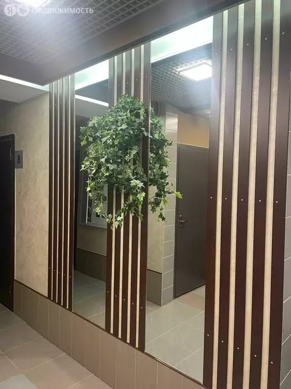 Квартира-студия: село Засечное, Центральная улица, 20 (24.1 м) - Фото 0