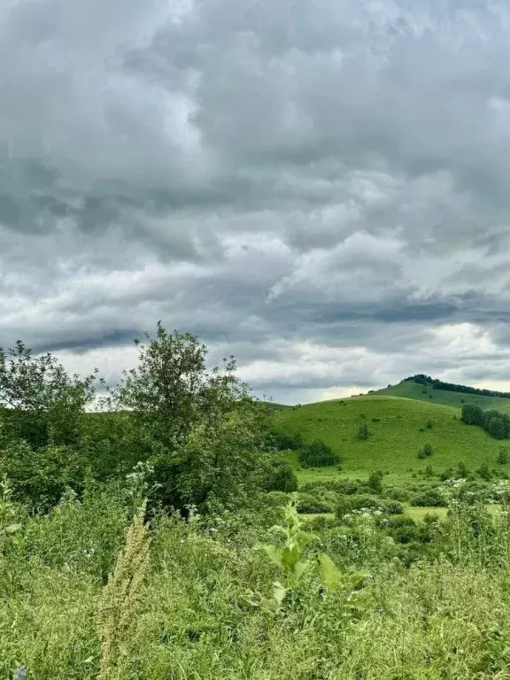 Участок в Алтайский край, Солонешенский район, с. Искра ул. ... - Фото 1
