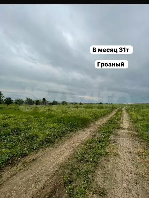 Участок 6 сот. (ИЖС) - Фото 0