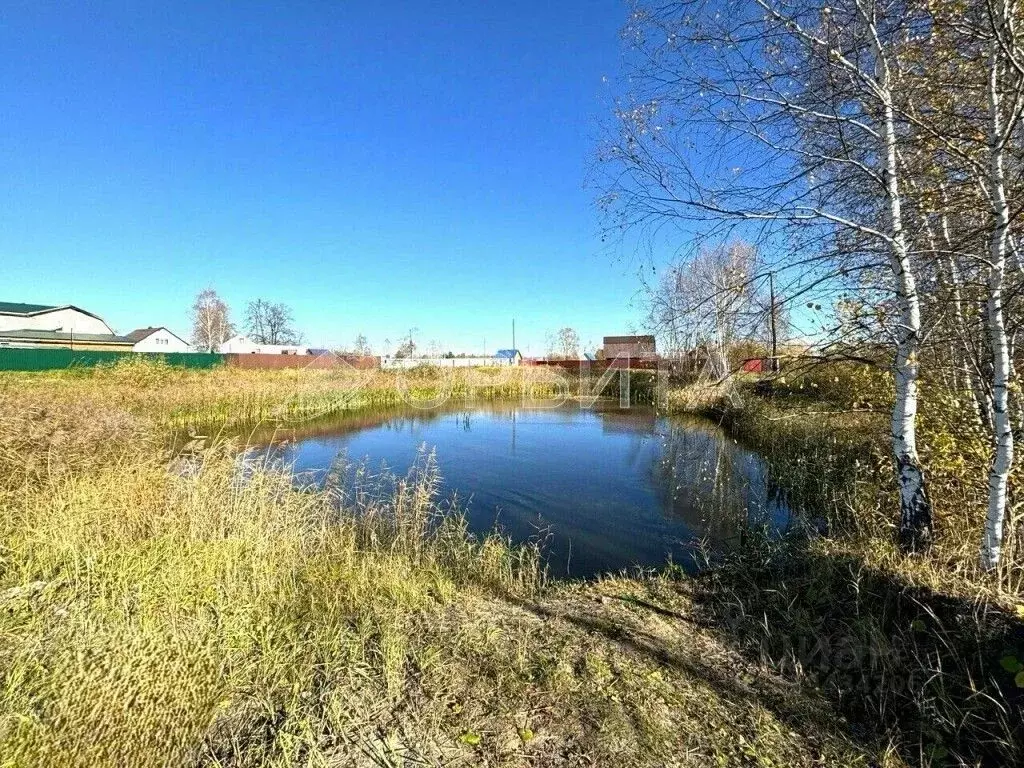 Участок в Тюменская область, Нижнетавдинский район, Моторостроитель ... - Фото 0