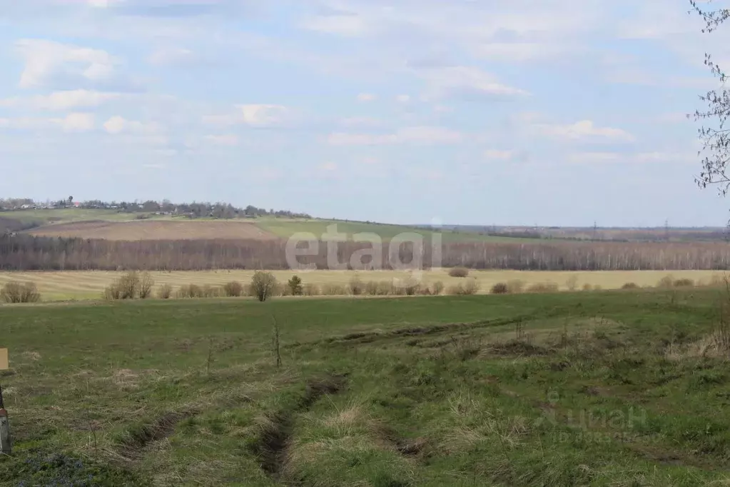 Участок в Вологодская область, Череповецкий район, Малечкинское с/пос, ... - Фото 1