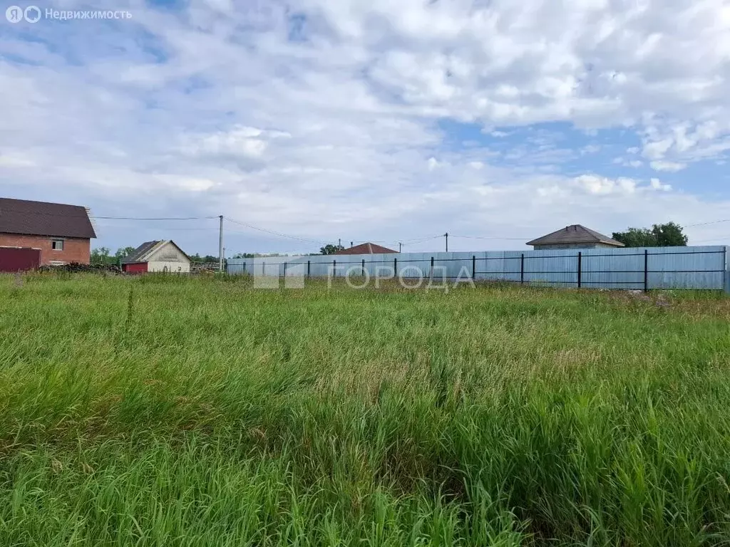 Участок в Новосибирский район, Верх-Тулинский сельсовет, ДНТ Берёзка, ... - Фото 1