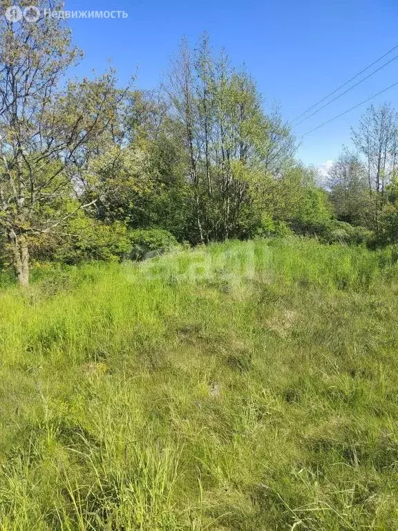 Участок в Калининградская область, Багратионовск (8.56 м) - Фото 1