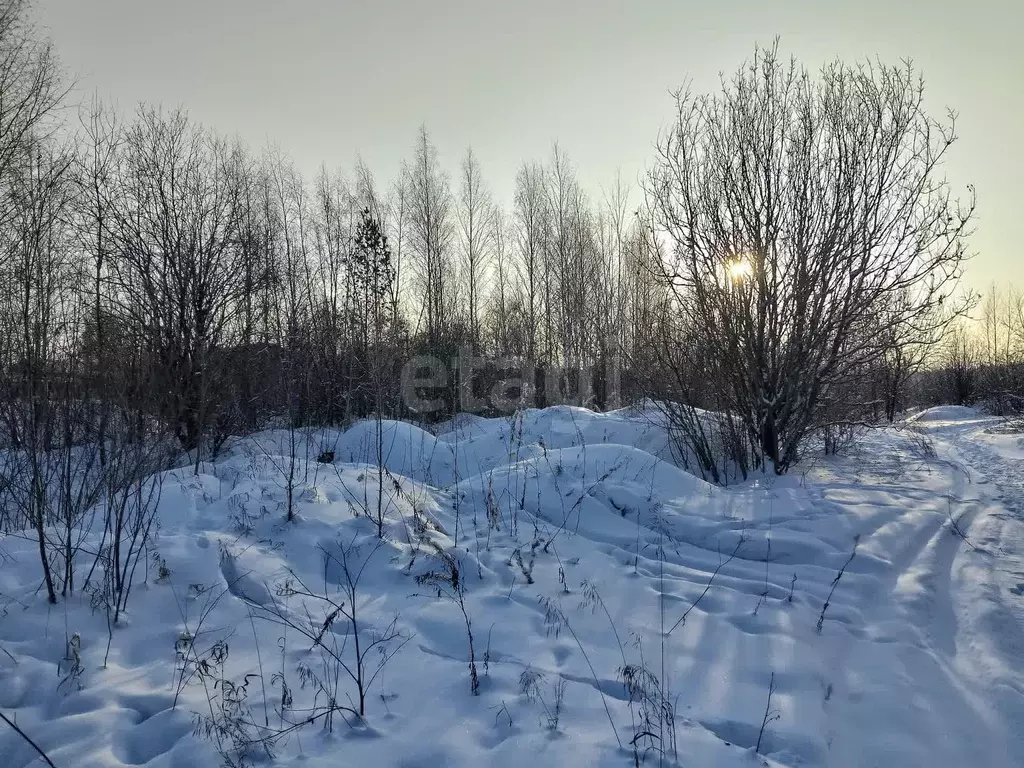 Участок, 10 сот., поселения (ижс) - Фото 1