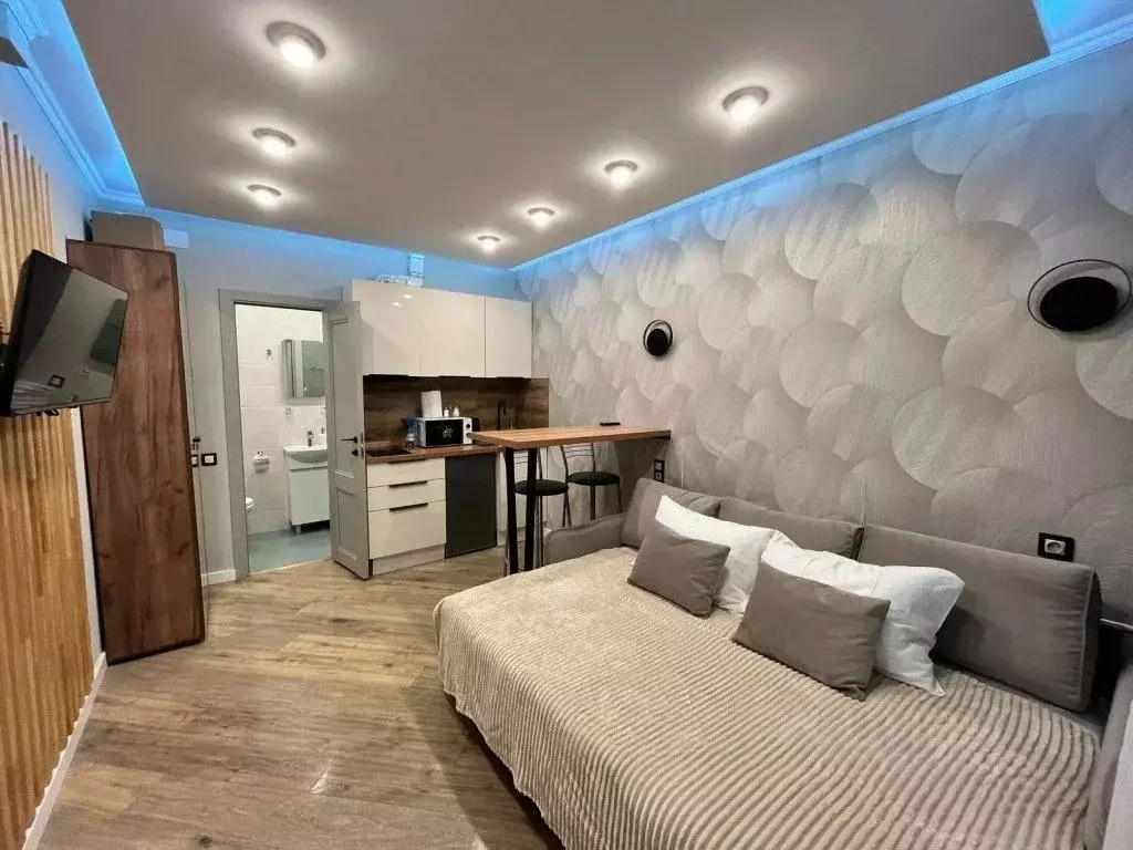 1-к кв. Санкт-Петербург ул. Репина, 5 (20.0 м) - Фото 0