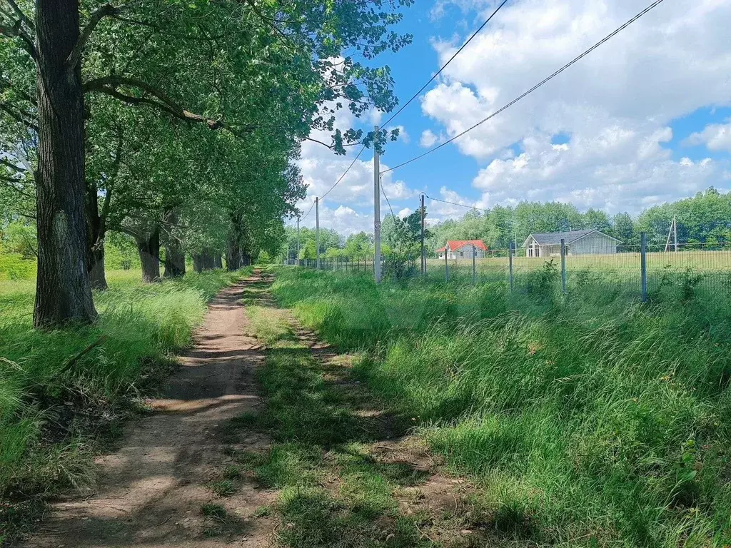 Участок 8 сот. (ИЖС) - Фото 0