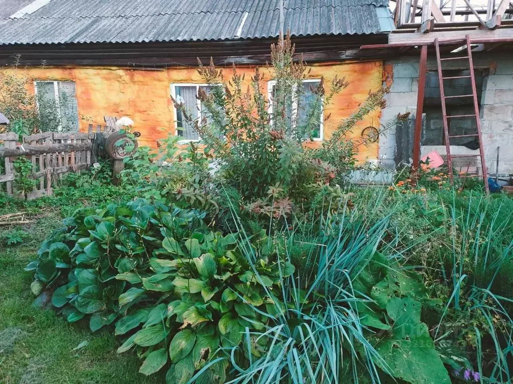 Дом в Алтай, Майминский район, с. Соузга Центральная ул. (80 м) - Фото 2