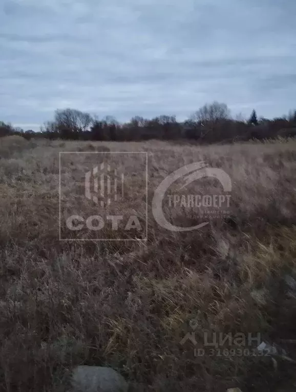 Участок в Воронежская область, с. Новая Усмань ул. Ленина, 22 (737.0 ... - Фото 0
