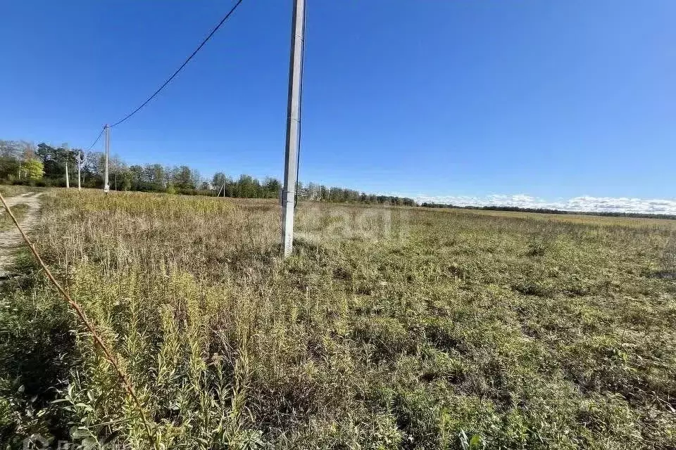 Участок в Кировская область, Кирово-Чепецкий район, Кстининское с/пос, ... - Фото 1