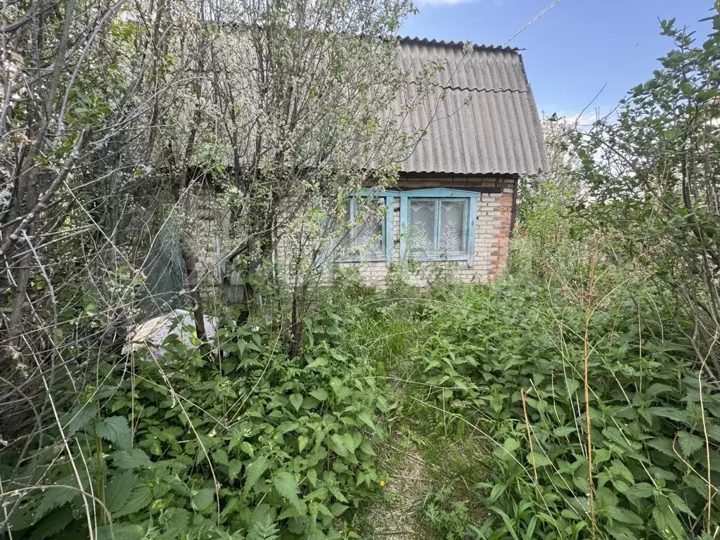 Участок 5,9 сот. (СНТ, ДНП) - Фото 1