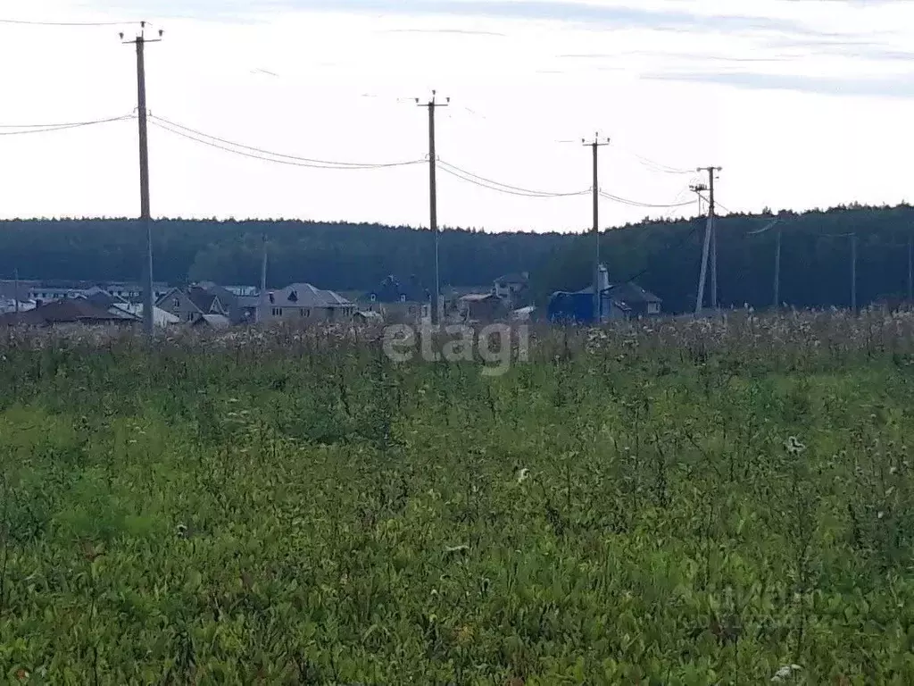 Участок в Свердловская область, Сысертский муниципальный округ, ... - Фото 1