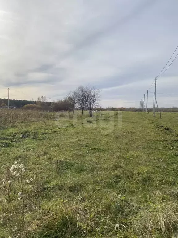 Участок в Свердловская область, Слободо-Туринский район, ... - Фото 1