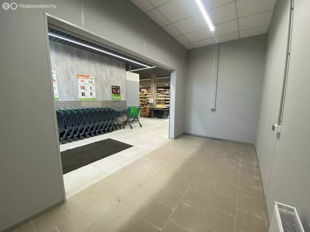 Помещение свободного назначения (9.8 м) - Фото 0