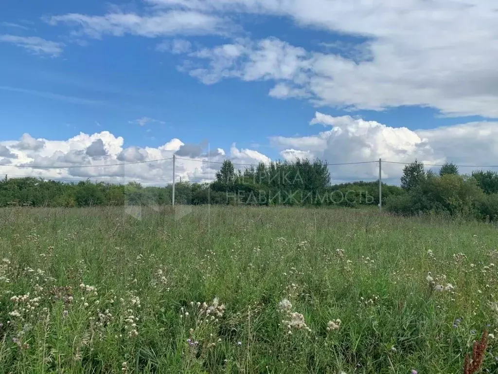 Участок в Тюменская область, Тюмень  (11.0 сот.) - Фото 2