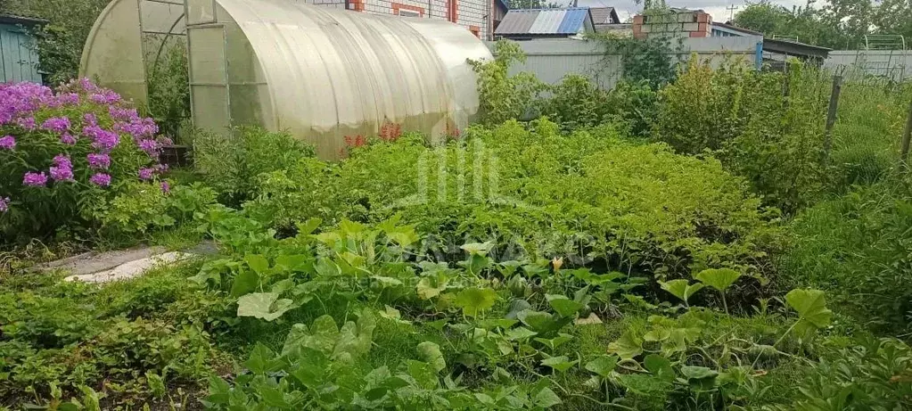 Дом в Брянская область, Брянск Имени Гагарина садоводческое ... - Фото 0