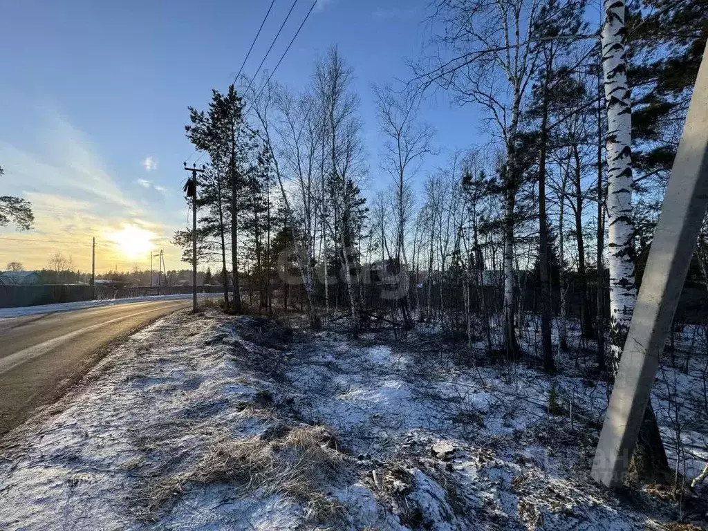 Участок в Тюменская область, Тюменский муниципальный округ, Рассвет ... - Фото 2