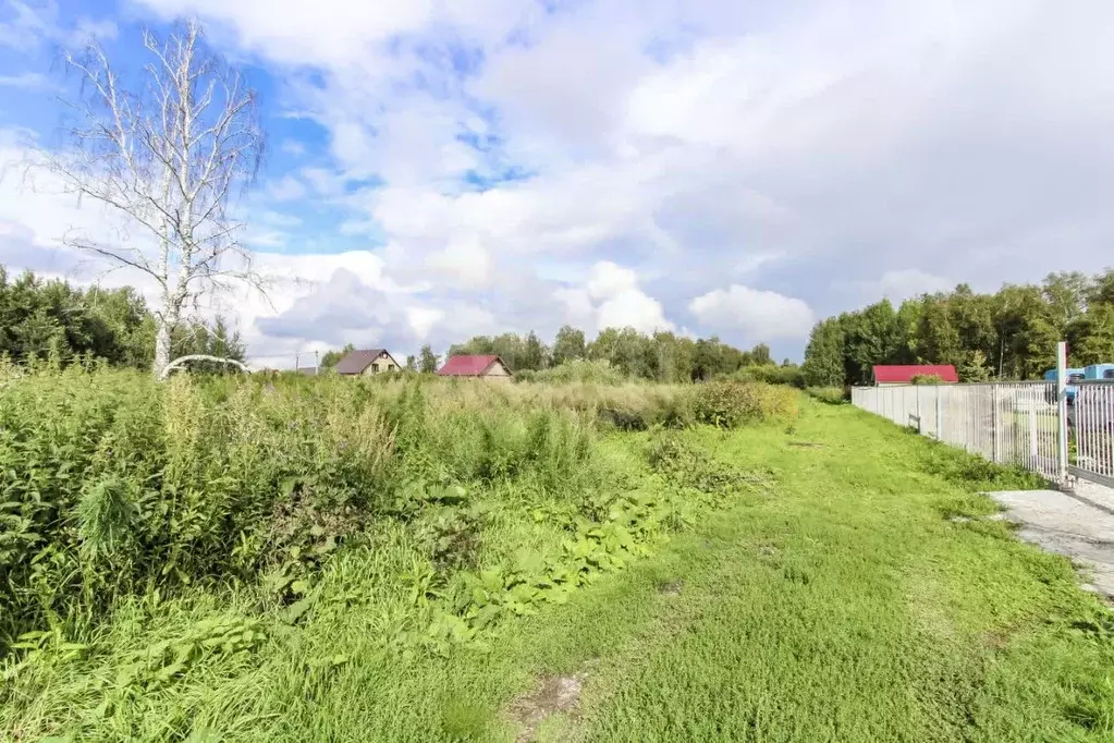 Участок в Тюменская область, Нижнетавдинский муниципальный округ, ... - Фото 1