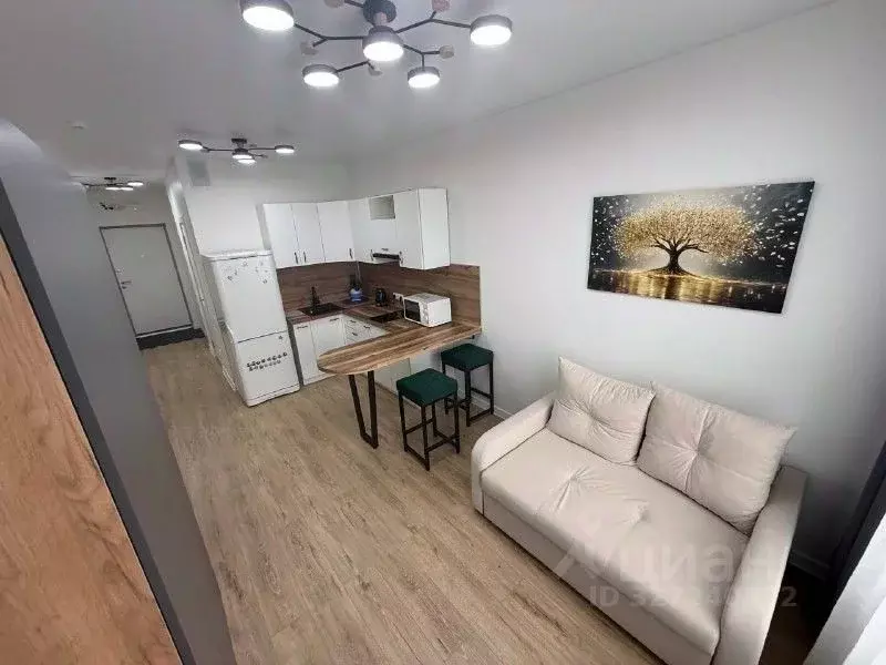 Студия Москва Десеновское поселение, ул. 3-я Нововатутинская, 15к2 ... - Фото 2