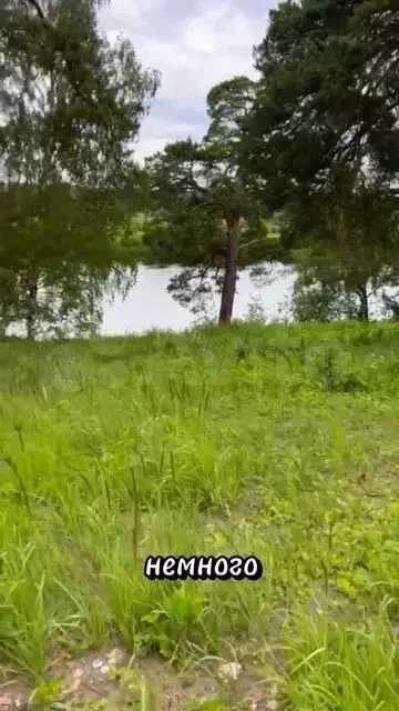 Участок 12,72 га (личное подсобное хозяйство (лпх)) - Фото 1