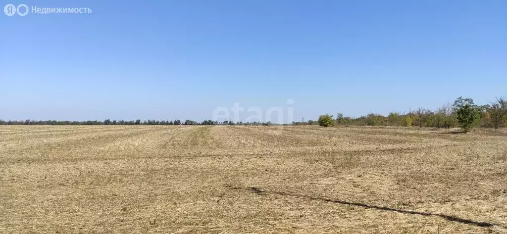 Участок в Симферопольский район, село Новоандреевка (202.3 м) - Фото 2