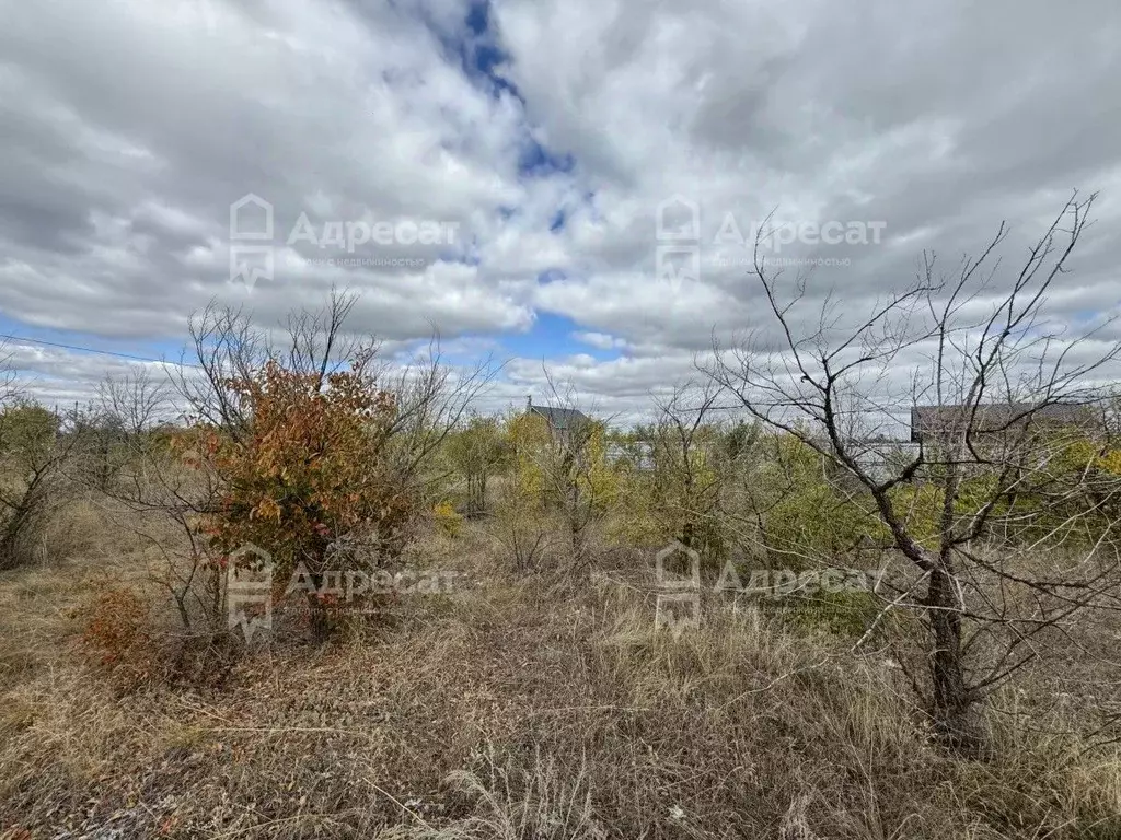 Участок в Волгоградская область, Волгоград ул. Топазовая (11.8 сот.) - Фото 1
