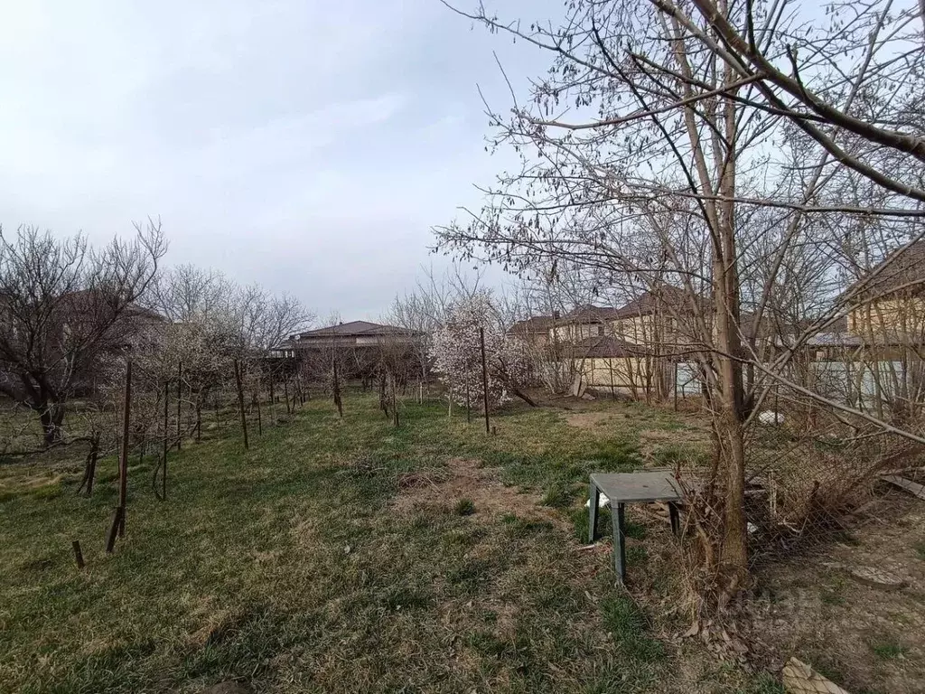 Дом в Краснодарский край, Анапа муниципальный округ, с. Супсех ул. ... - Фото 1