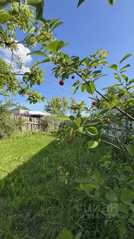 Участок в Калининградская область, Калининград 50 лет Октября СНТ, ул. ... - Фото 1