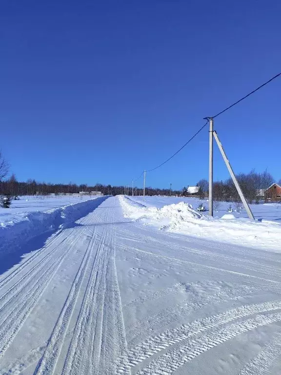 Участок в Московская область, Ступино городской округ, с. Разиньково ... - Фото 2