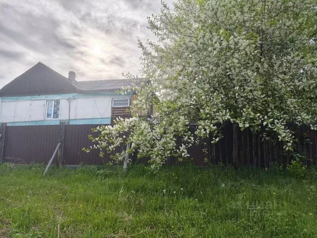 Дом в Хакасия, Сорск Усть-Абаканский район, ул. Ломоносова, 18 (65 м) - Фото 1
