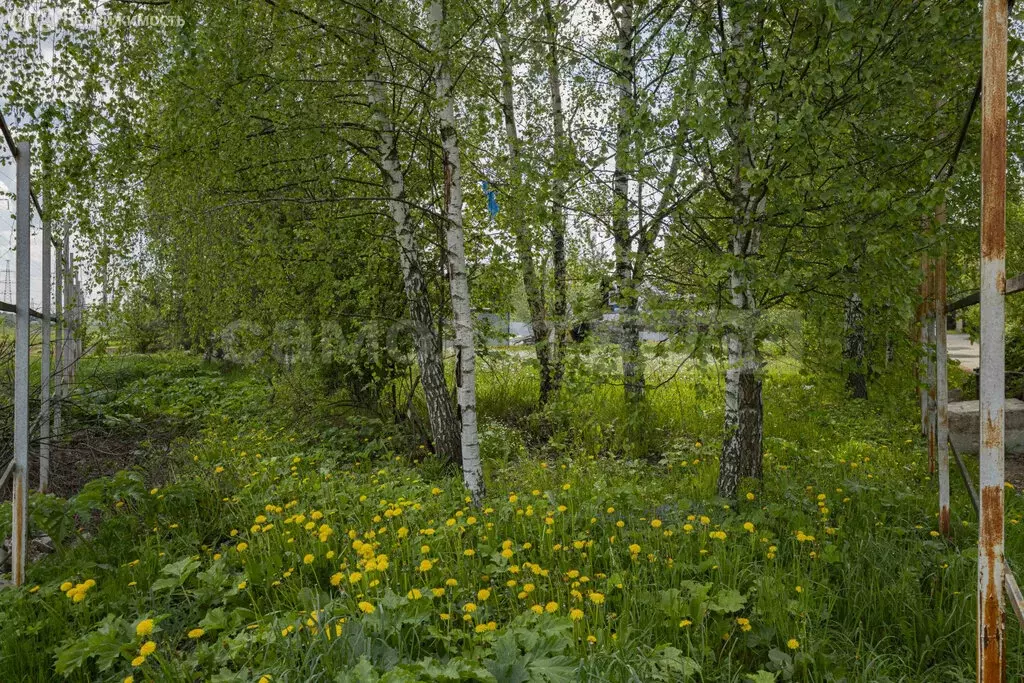 Участок в Бородки, Тихая улица, 29 (7.35 м) - Фото 1
