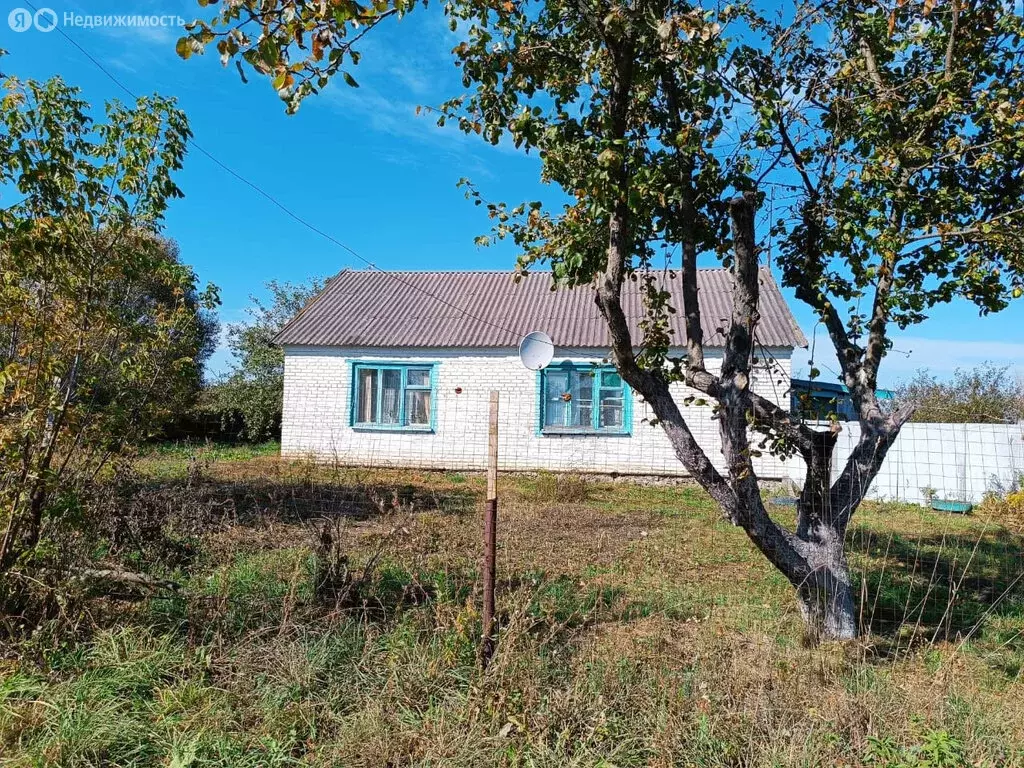 Дом в Орловская область, Троснянское сельское поселение, деревня ... - Фото 1