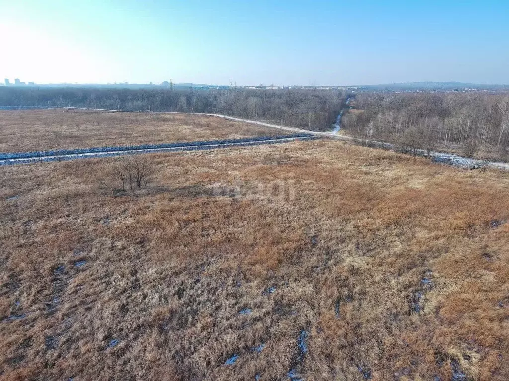 Участок в Хабаровский край, Хабаровский район, Тополевское с/пос, с. ... - Фото 2