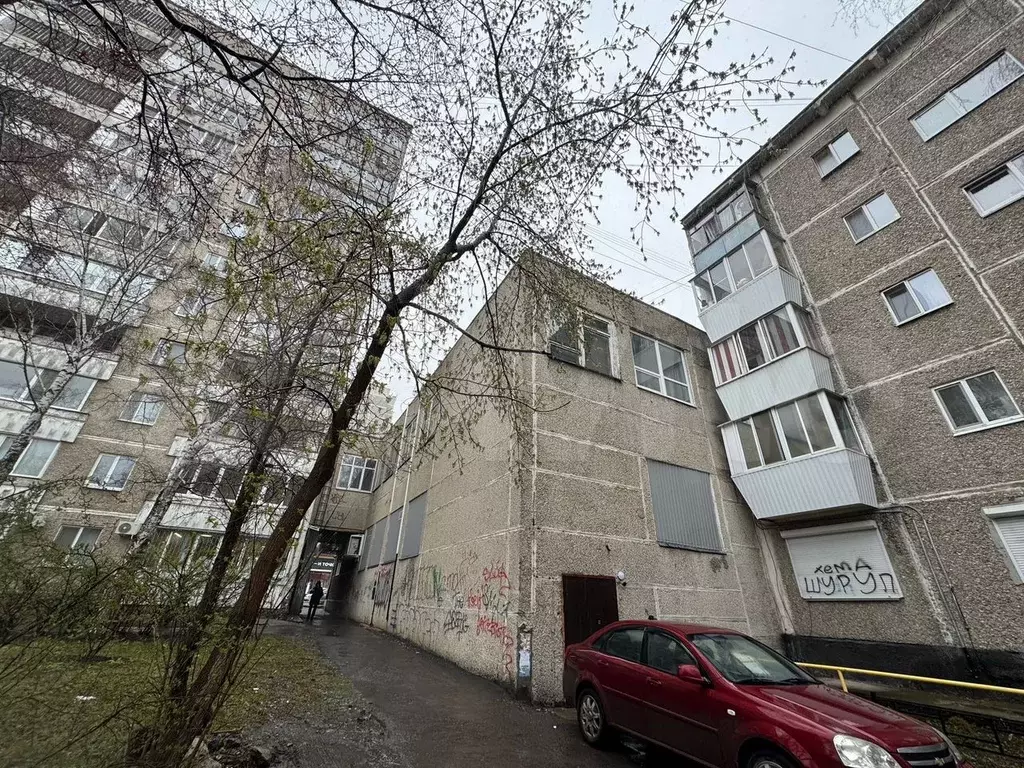Склад, 180 м, сухой подвал - Фото 0