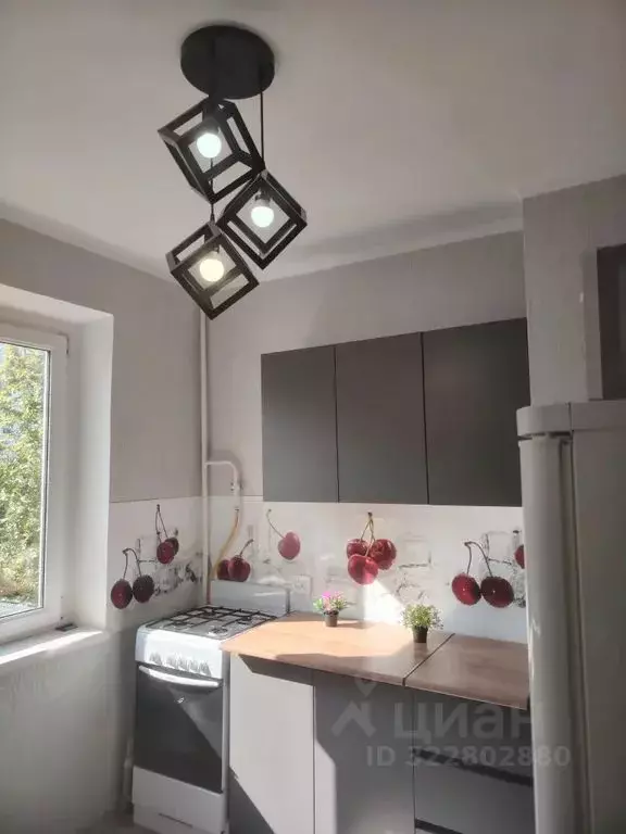 1-к кв. Краснодарский край, Новороссийск Волгоградская ул., 40 (33.0 ... - Фото 1