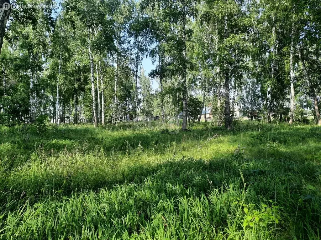 Участок в село Новиково, Новая улица (13.5 м) - Фото 1
