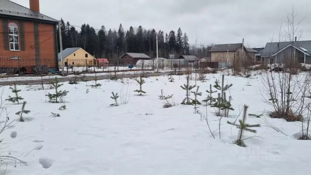 Участок в Ленинградская область, Сертолово Всеволожский район, Черная ... - Фото 1