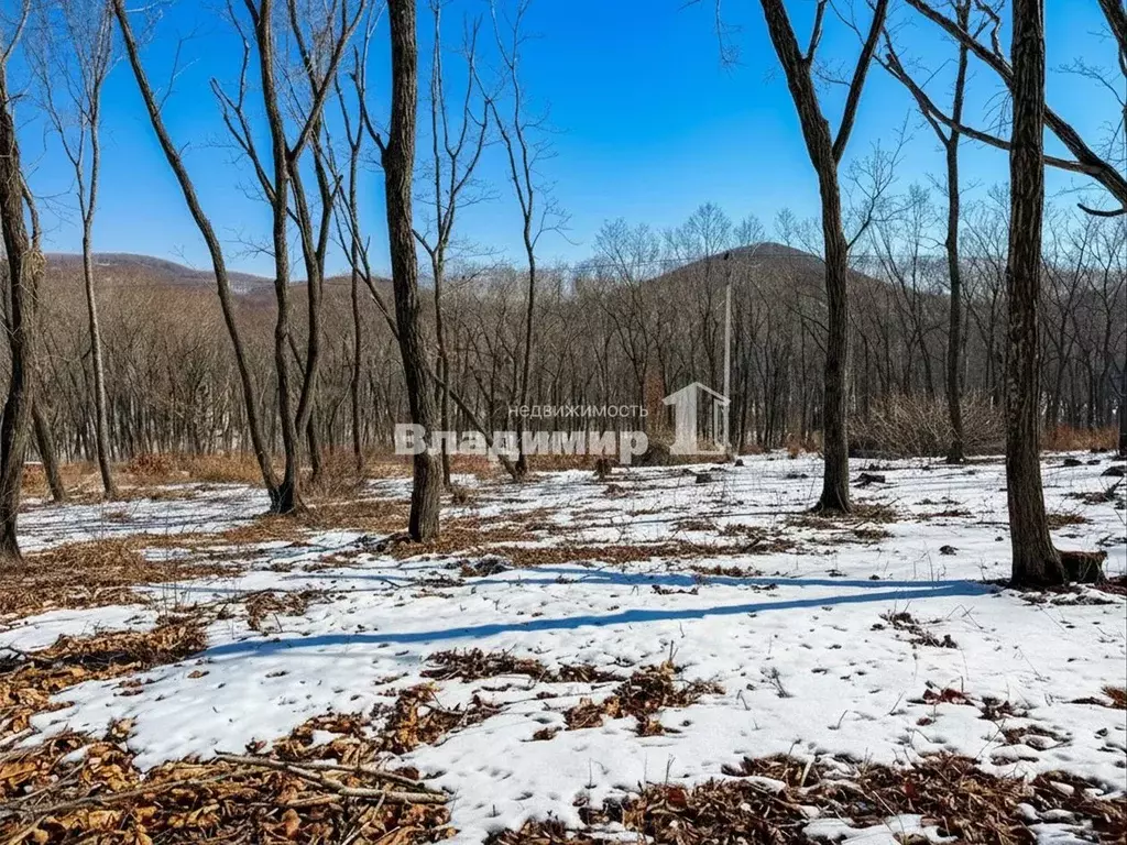 Участок в Приморский край, Находка Вознесенская ул., 8 (20.0 сот.) - Фото 1