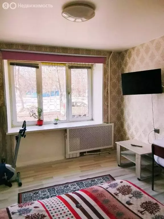 1-комнатная квартира: Пушкино, микрорайон Дзержинец, 30 (20.3 м) - Фото 1
