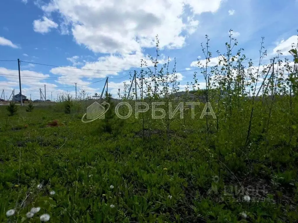 Участок в Тюменская область, Тюменский район, Солнышко садоводческое ... - Фото 0