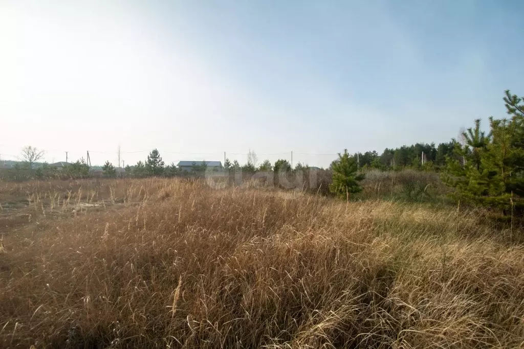 Участок в Ульяновская область, Ульяновск городской округ, с. Лаишевка ... - Фото 1