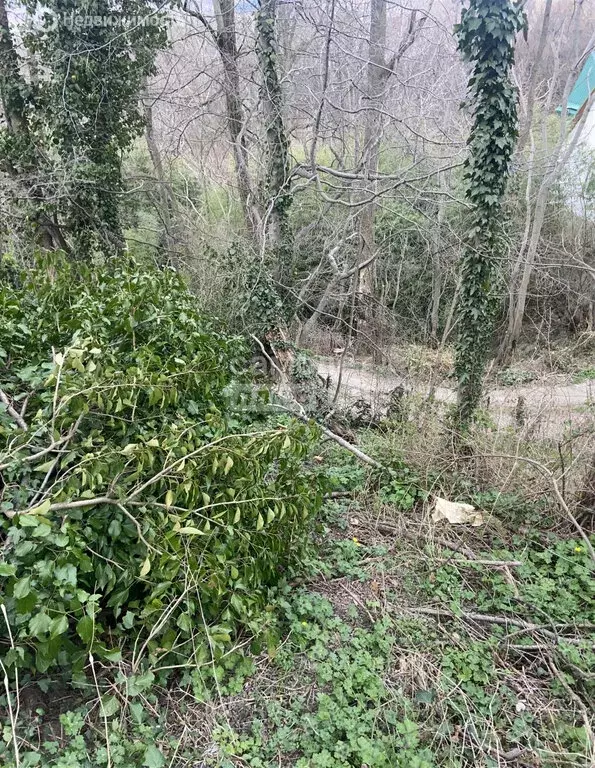 Участок в Туапсе, Звёздная улица, 11А (15.8 м) - Фото 1