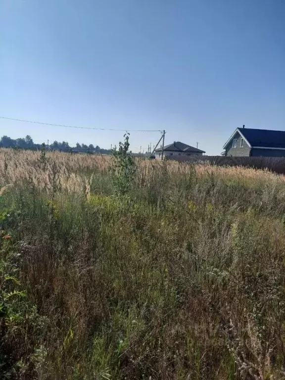 участок в нижегородская область, павловский район, с. абабково ул. . - Фото 0