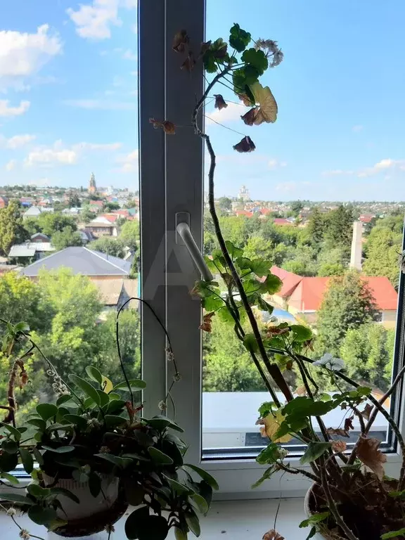 2-к. квартира, 51 м, 5/5 эт. - Фото 1
