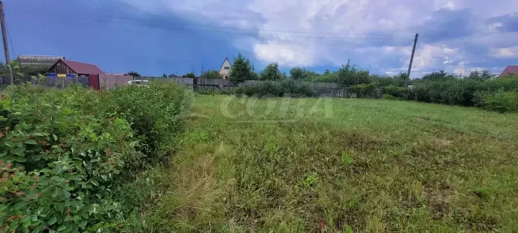 Участок в Курганская область, Курган Черемушки-4 СНТ,  (5.4 сот.) - Фото 0