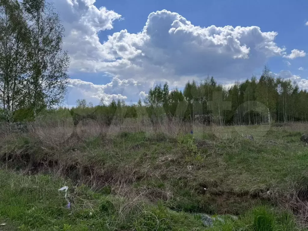 Участок 11,3 сот. (СНТ, ДНП) - Фото 0