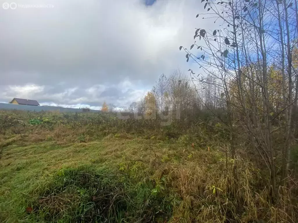 Участок в Вологодский муниципальный округ, посёлок Грибково (10 м) - Фото 1