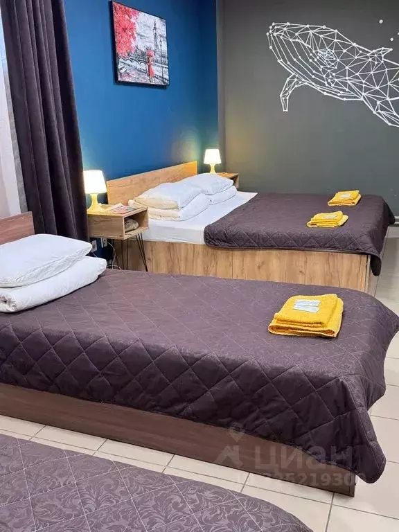 Комната Карелия, Петрозаводск просп. Александра Невского, 47 - Фото 2